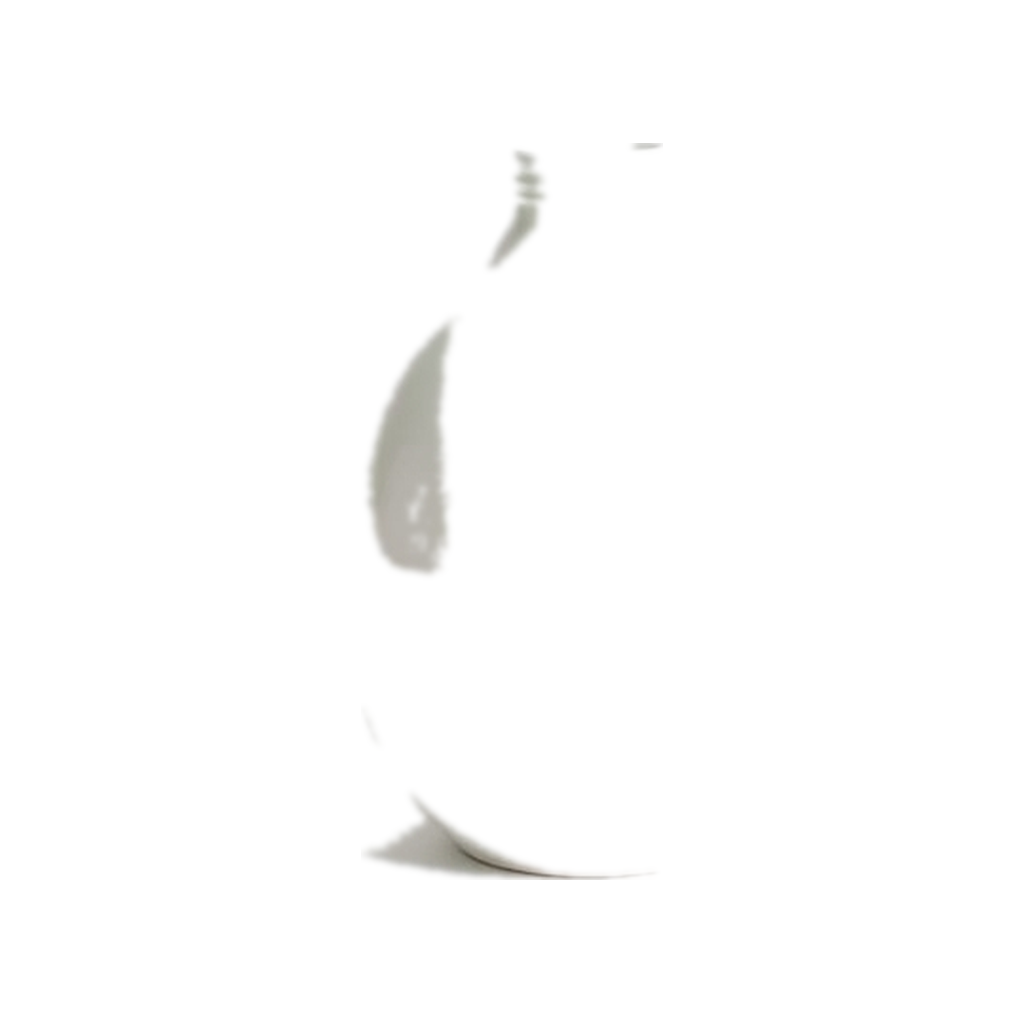 Industrial Nylon Pins 355